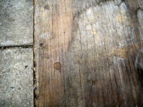 betonowe drewno