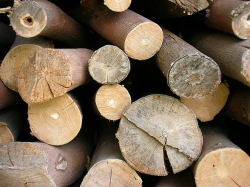 metody suszenia drewna