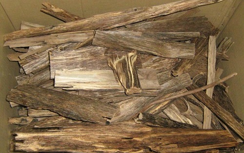 agar, drewno agarowe